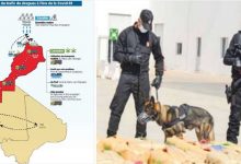 Photo de Circuits de drogues perturbés durant la Covid-19 : Le Maroc n’est pas un «safe heaven» pour les narcotrafiquants