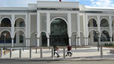 Photo de La FNM reçoit une donation de peintures marocaines pour ses dix ans