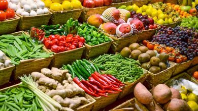 Photo de Le Maroc, premier fournisseur hors UE de l’Espagne en fruits et légumes frais