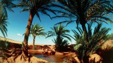 Photo de Tourisme : l’Algérie, future concurrente du Maroc ?